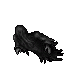 [EXP] Night Wump