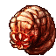 rift worm